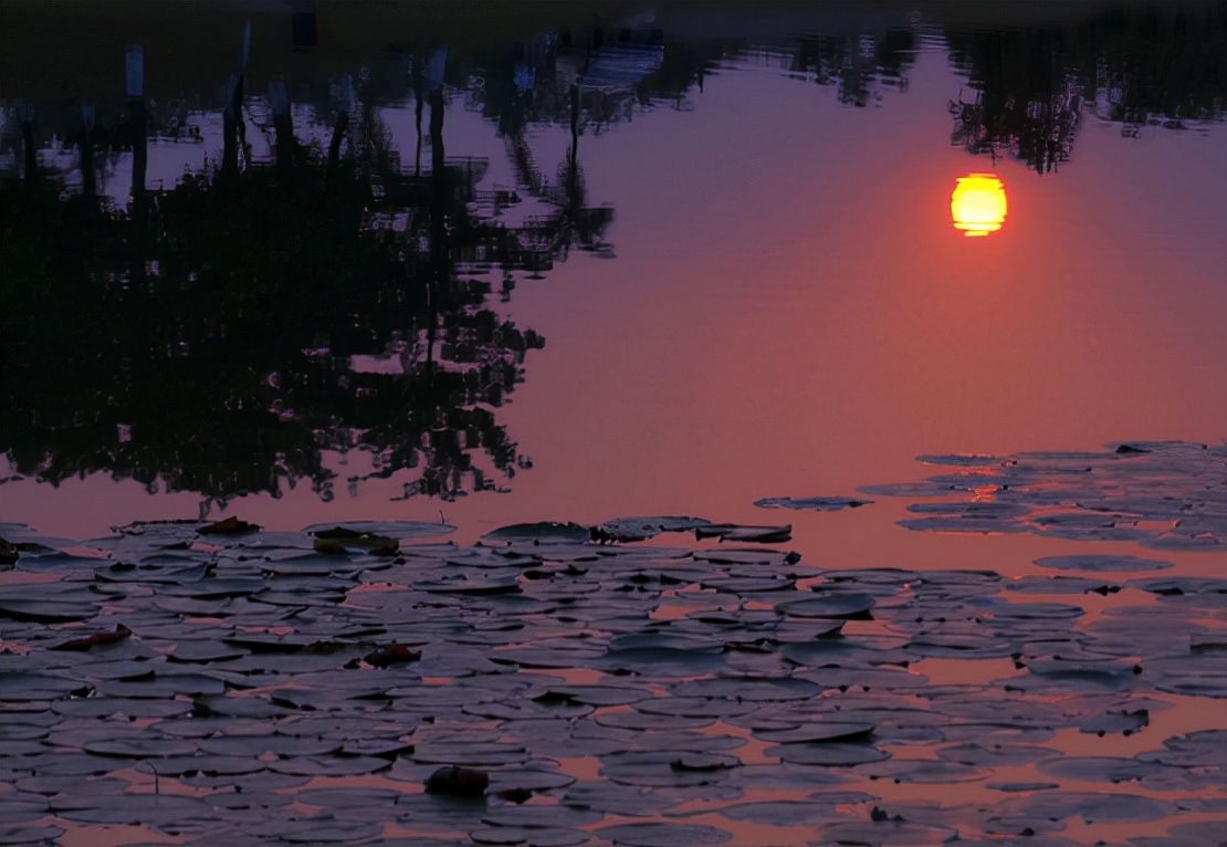 渭上秋夕闲望赏析全诗（渭上秋夕闲望诗人情感）