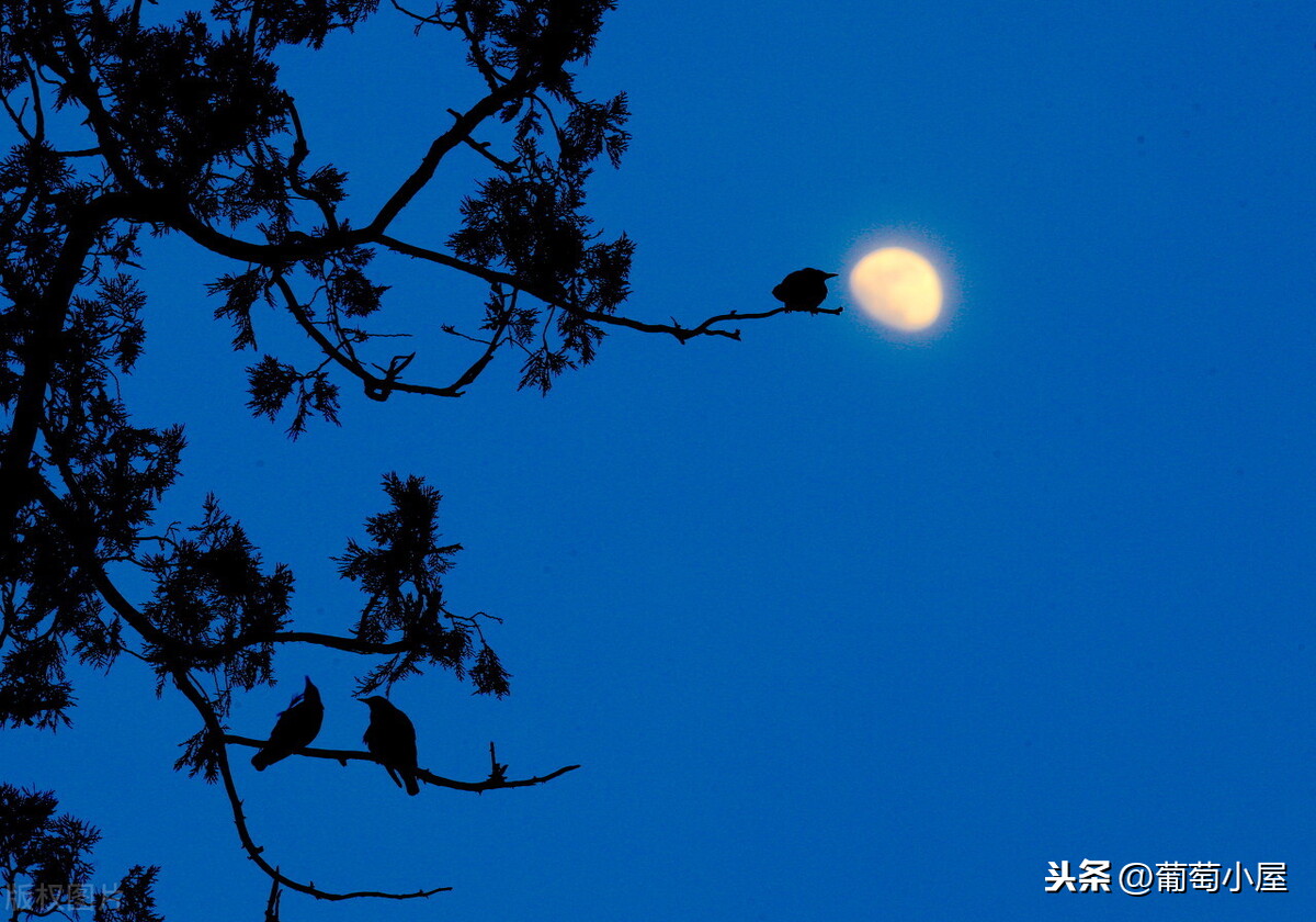 晚上的夜景美的说说（适合夜晚的句子唯美的）