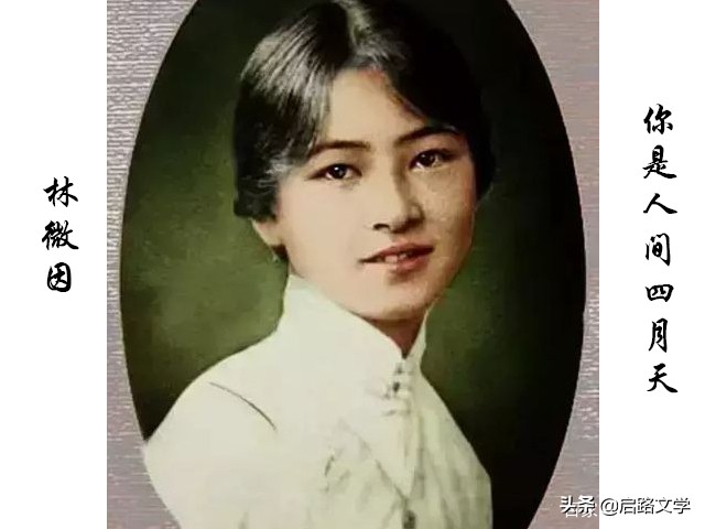林徽因诗集经典句子（林徽因最美的十首诗）