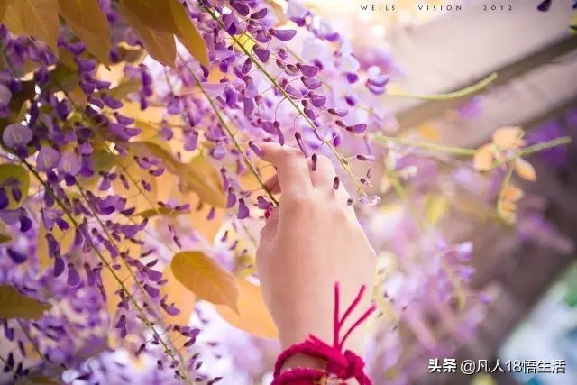 祝福别人爱情长久伤感的话（送给情侣的简短祝福语）