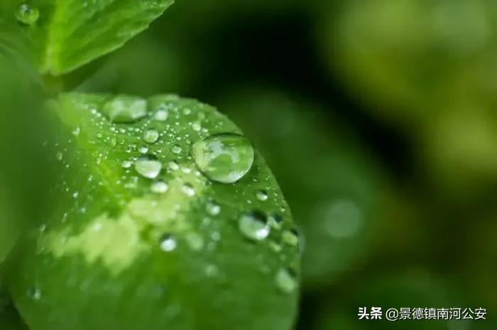 写春的诗句有哪些（有关于写春天的古诗）