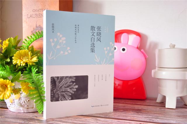 张晓风散文精选摘抄赏析（分享张晓风散文精选好词）