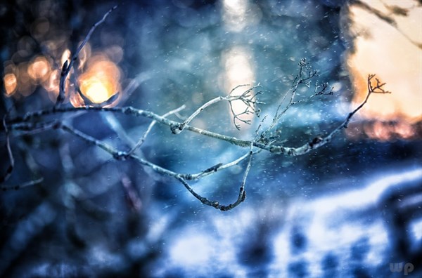 下雪的句子写心情说说（感受雪景的心情短语）