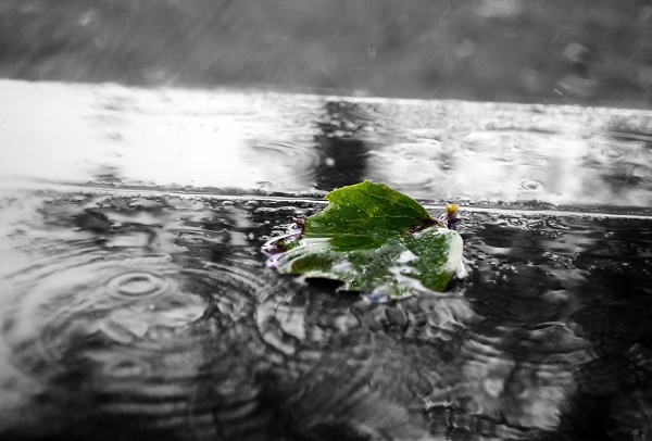 形容雨天的唯美心情句子（雨天一句话表达心情）