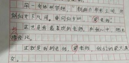 学生赞扬老师的话语（赞扬老师的搞笑文案大全）