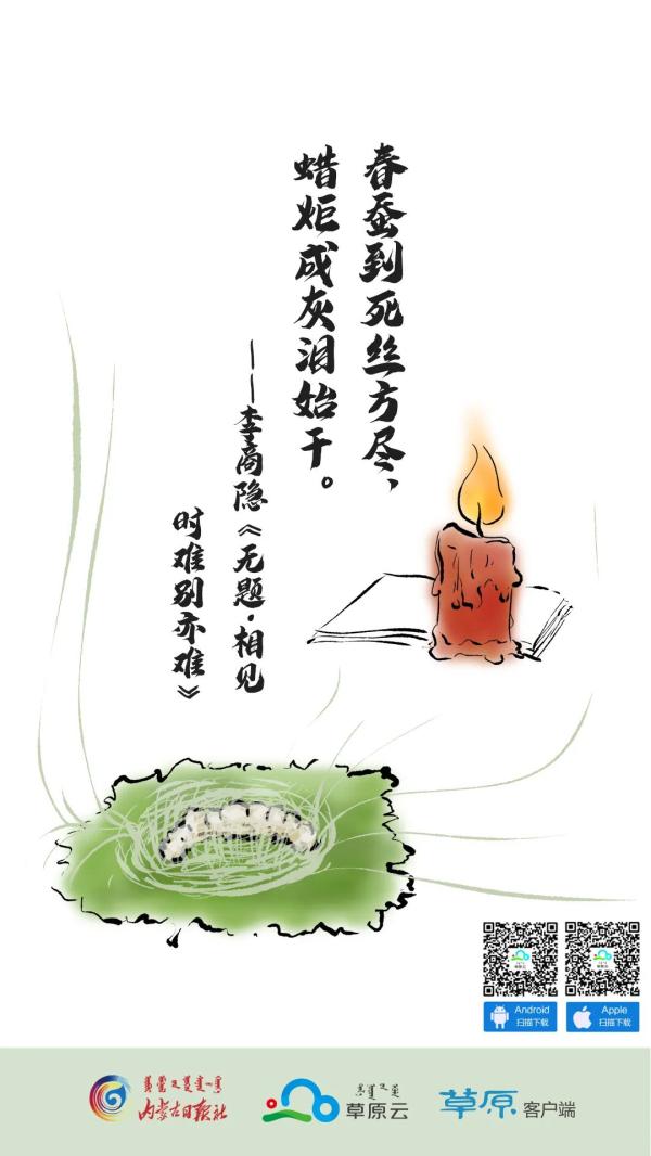 感谢老师诗句名言（感恩老师最暖心的诗句）