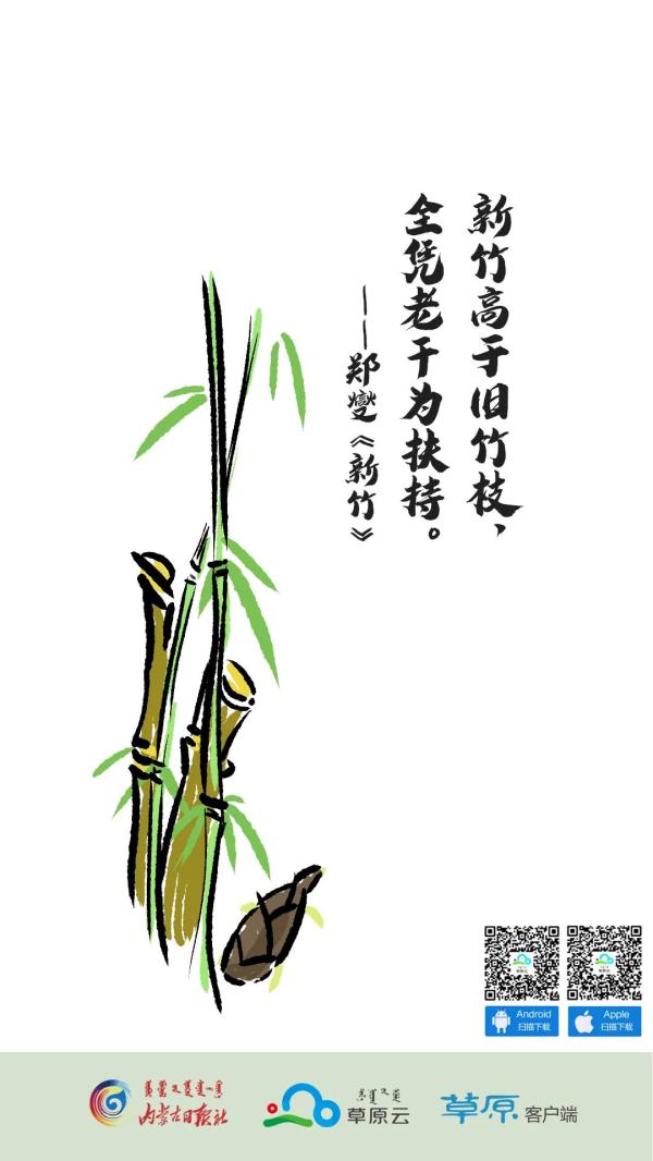 感谢老师诗句名言（感恩老师最暖心的诗句）