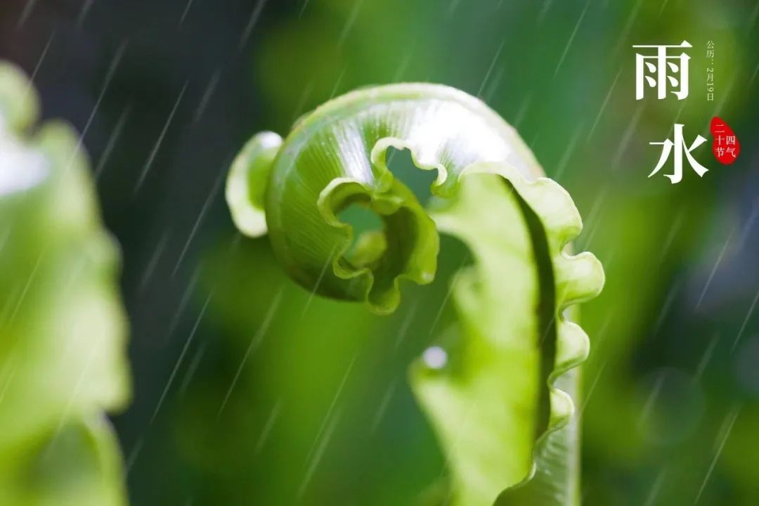 春雨古诗词杜甫（杜甫关于春雨的诗句）