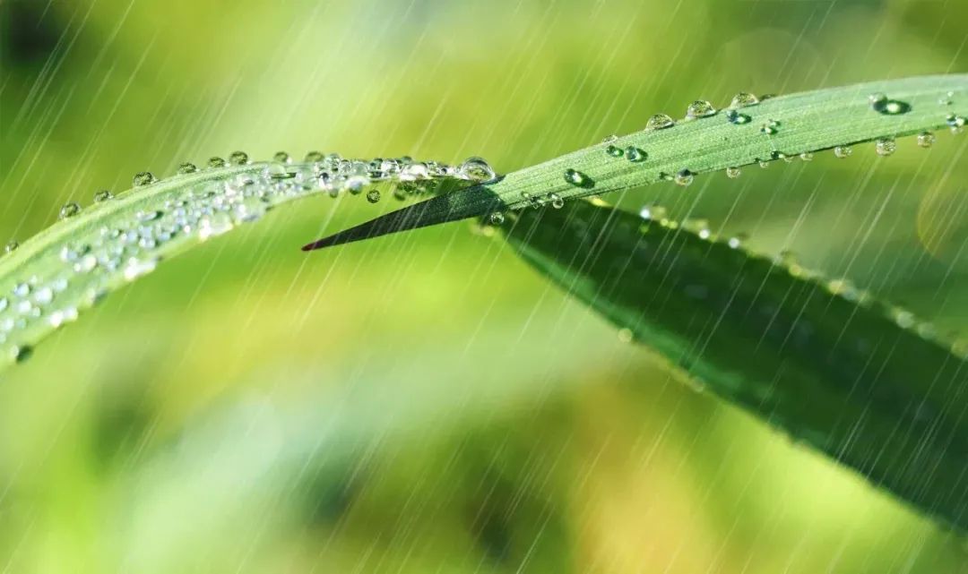描写春雨的古诗有哪些（十首最美描写春雨的诗词）