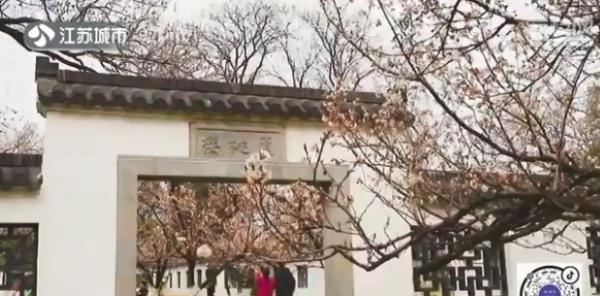 樱桃花和樱花的区别（樱花和樱桃的区别图解）