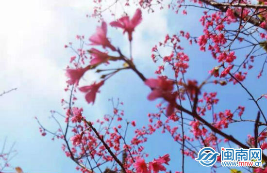 元宵节的诗词名词欣赏（关于元宵节的古风文艺说说）