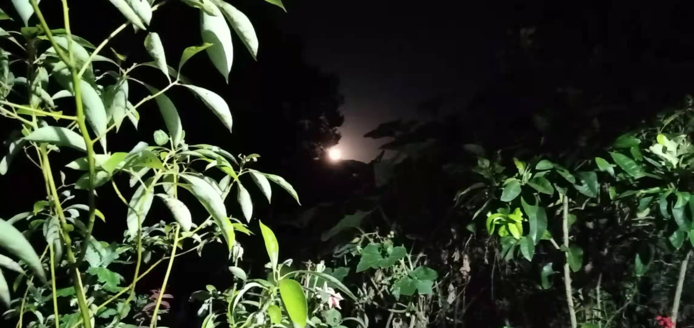 描写中秋的现代诗（赞美中秋节的现代诗）