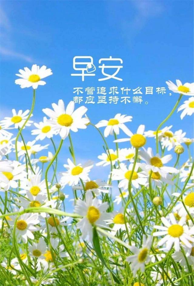 唯美励志语录经典短句图片（精辟的人生哲理句子）