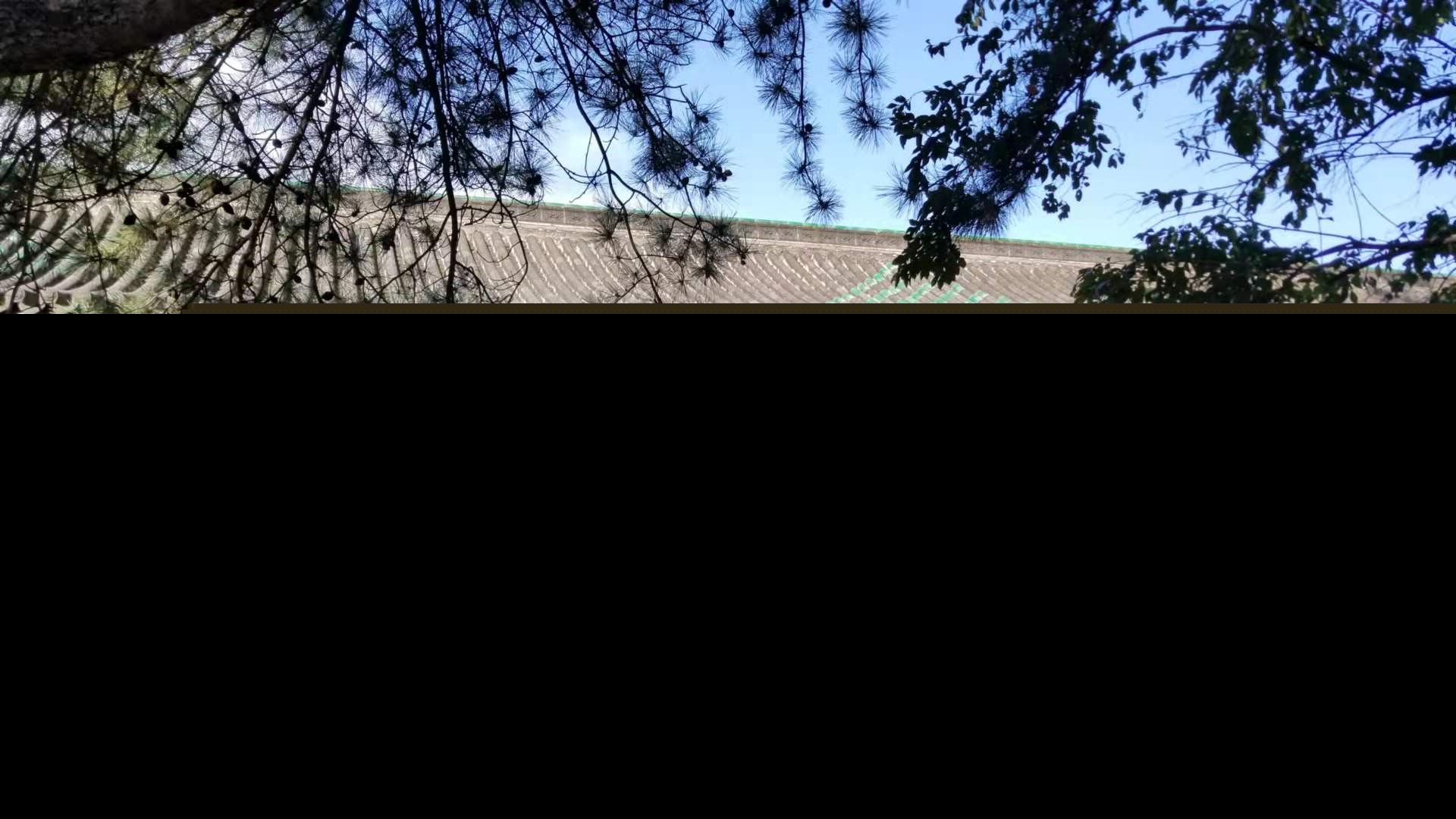 母校回忆精美句子简短（怀念母校的优美句子简短）