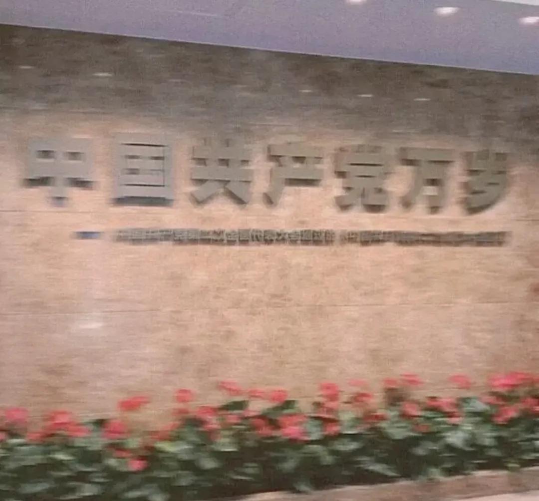 爱国的话语简短（关于爱祖国的优美句子）