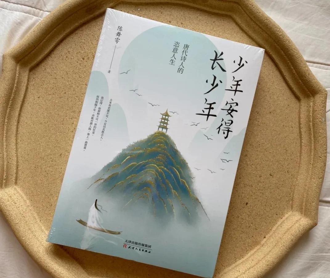 少年安得长少年读后感（少年安得长少年类似的小说 ）