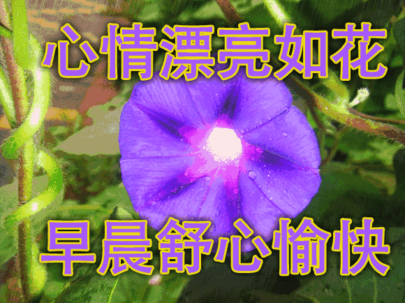 暖心祝福的短句（干净简短的励志句子）