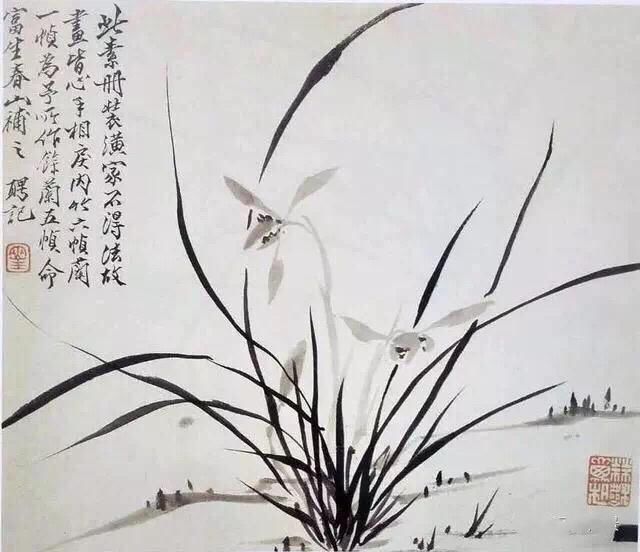 兰花诗句最出名诗句（形容兰花气质清雅诗句）
