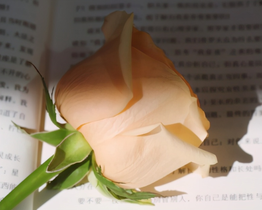 天气晴朗心情好的句子（形容天气阳光好的句子）
