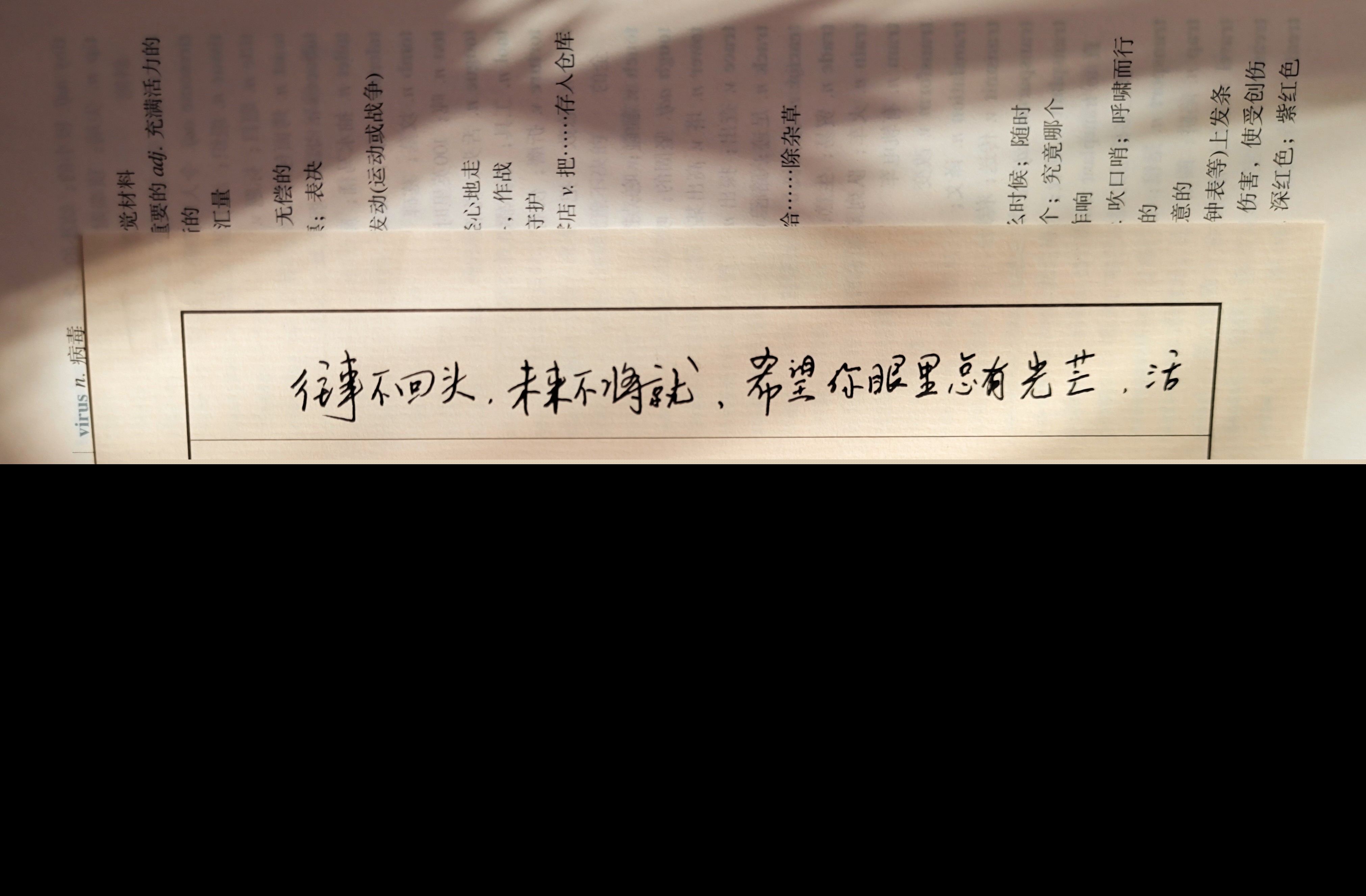 个性逗比生日祝福语（高级又沙雕的生日祝福）