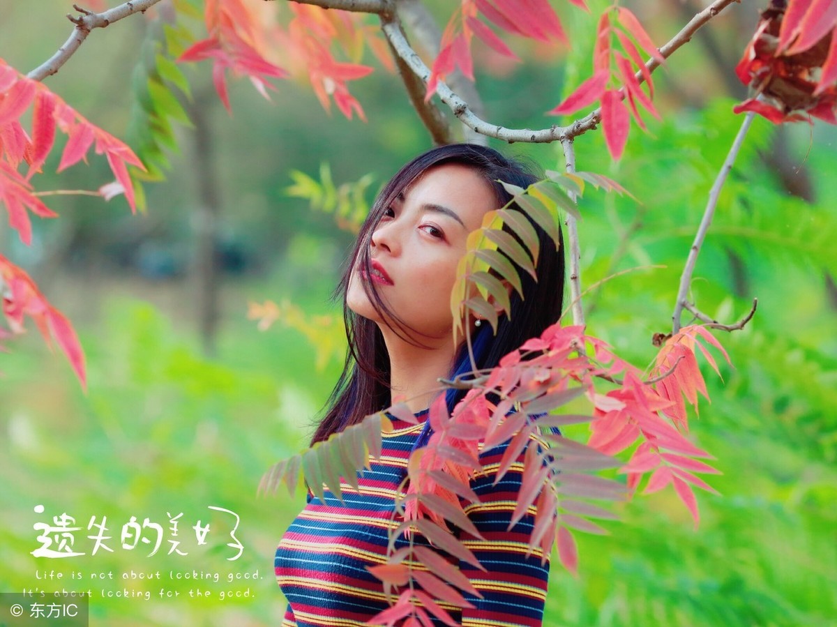 秋天伤感的句子说说（又逢深秋的伤感唯美句子）