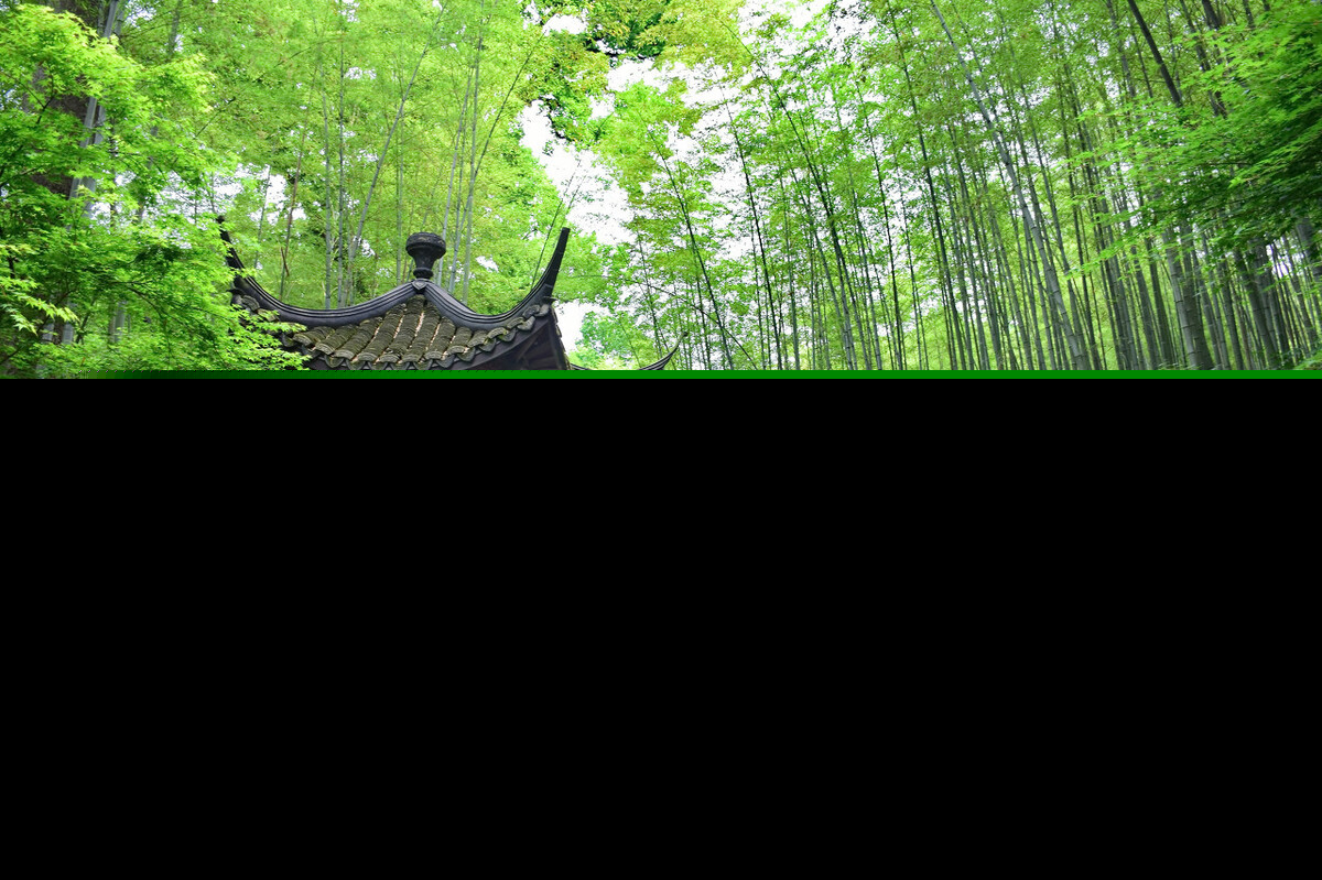王维诗集精选（王维最有名的15首诗）