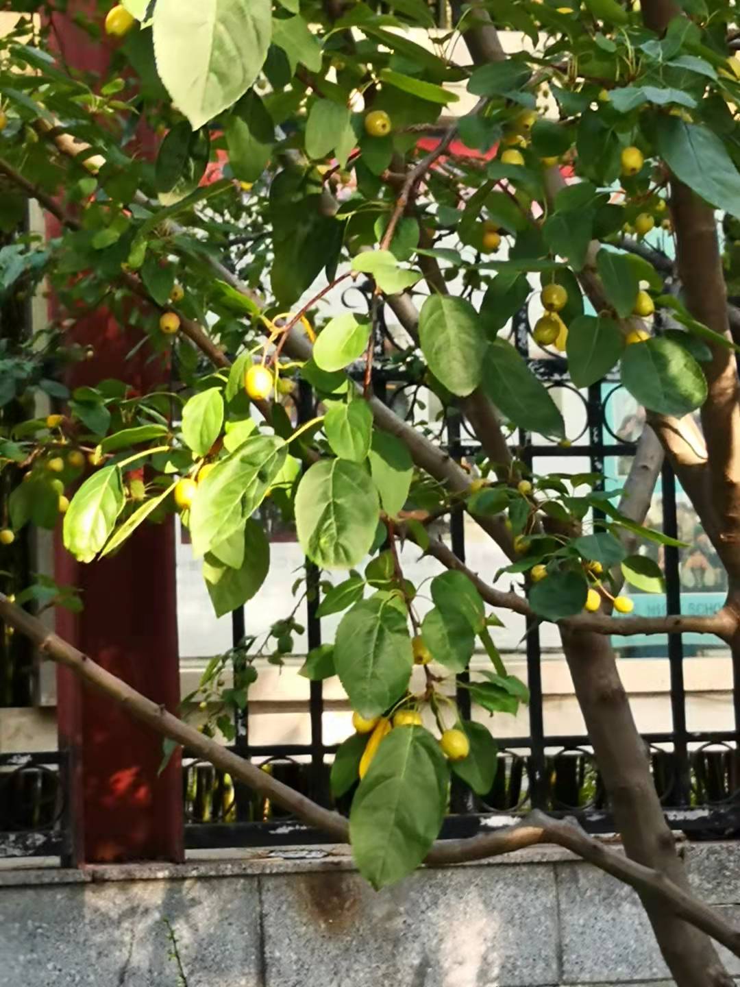 关于亲情的诗句古诗词（10首描写亲情的古诗）