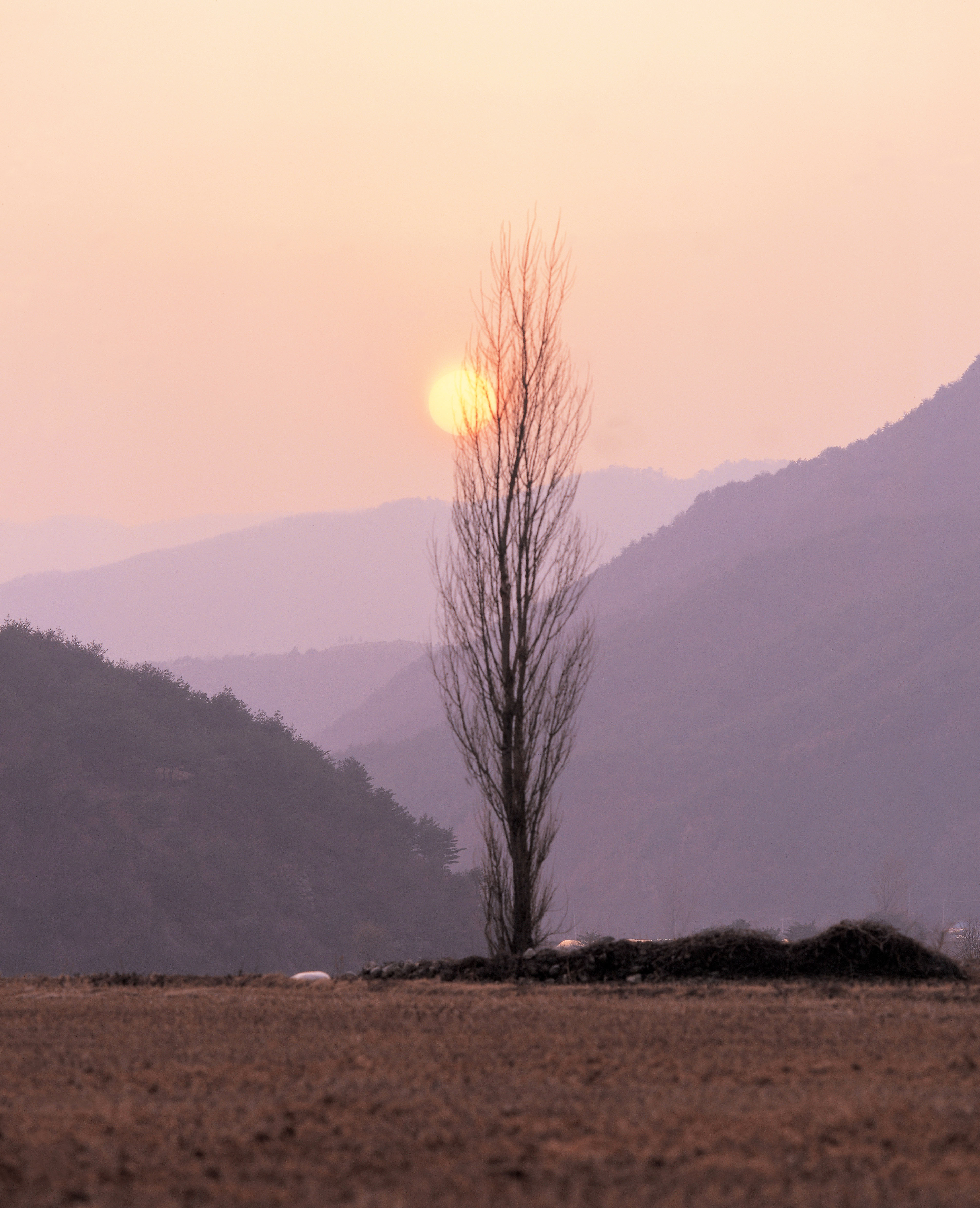 夕阳西下的意思解释（夕阳西下的寓意）