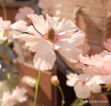 暗示讨厌一个人的句子（对一个人反感的句子大全）