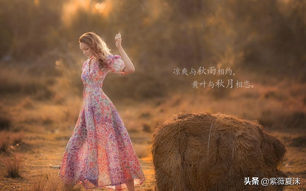 描写秋天的句子（赞美秋天的唯美语录）