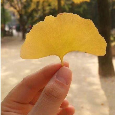 女朋友调戏男朋友的话（日常套路男朋友的聊天对话）