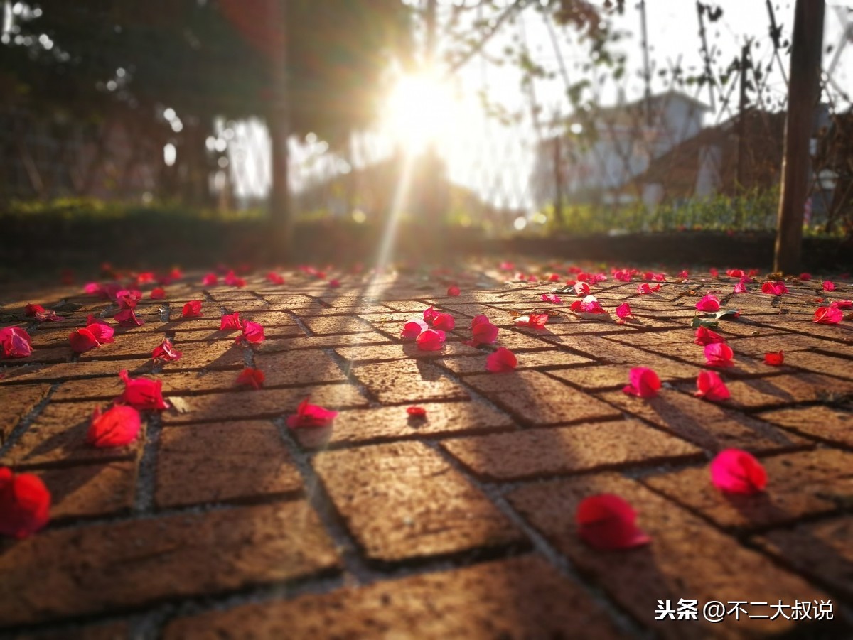 关于爱情的英文诗（英文唯美短句情诗）