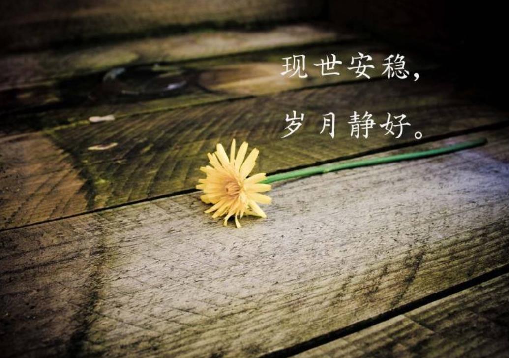 优美的句子有哪些短句（世界上最简短的优美句子）