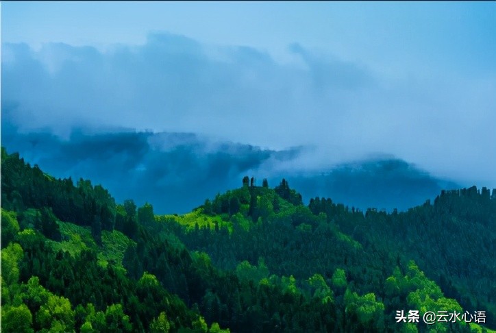 借景抒情的古诗名句（借景抒情的典型诗句）