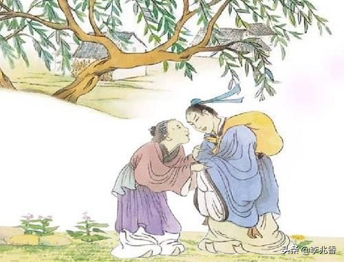 关于母爱的诗句或名言（赞美母亲伟大的诗句）