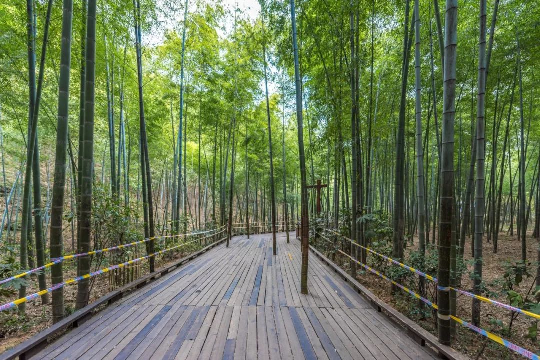 描写夏日的诗句是什么（形容夏天的唯美诗词）