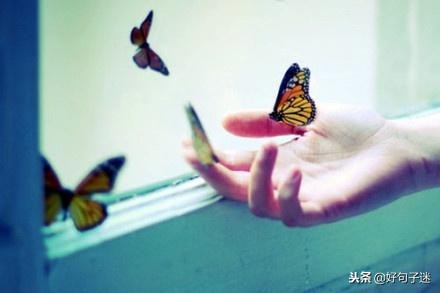 想他的句子说说（最打动婚外情人的情话）