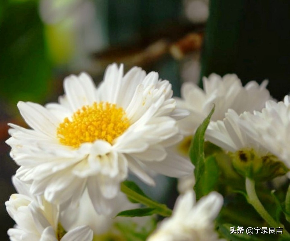 安慰女生的暖心话霸气短句（男孩安慰失恋女孩的一段话）
