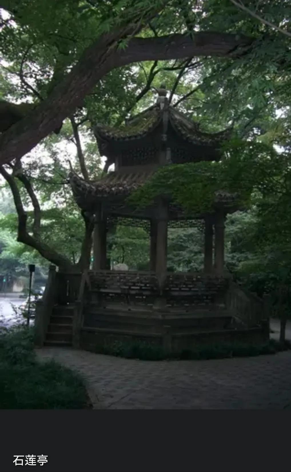 杭州诗句赞美西湖（赞美西湖诗句大全）