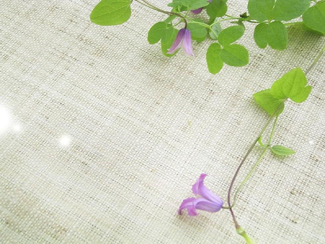 描写夏天的散文名篇（林清玄写的夏天的散文）