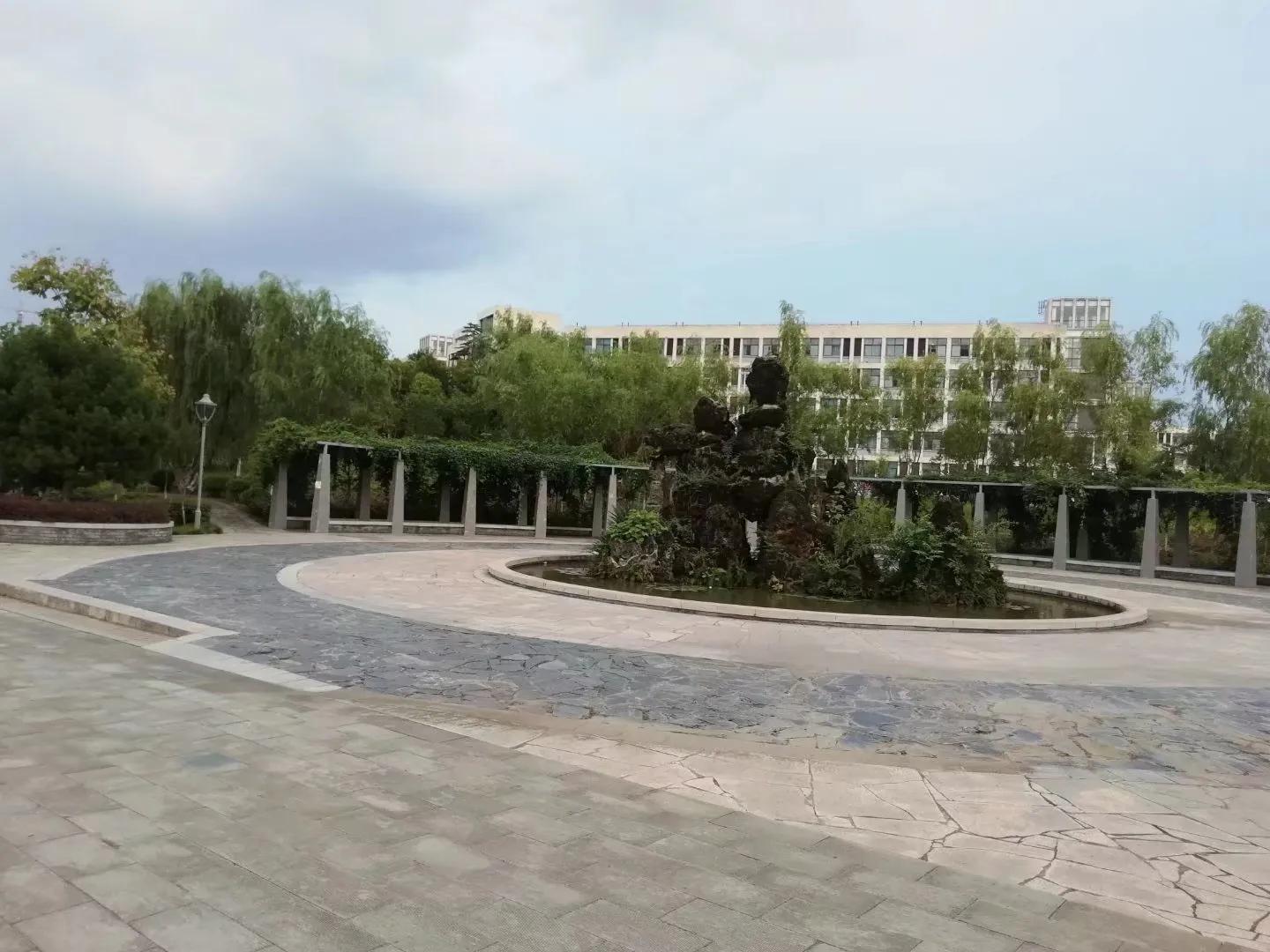 母校回忆精美句子（重回学校的经典句子）