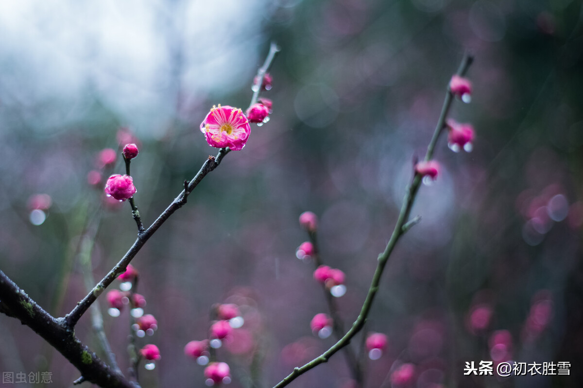 苏曼殊本事诗解释（苏曼殊的诗词）