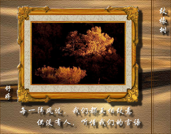 致橡树原文朗诵董卿（致橡树朗诵节奏 ）