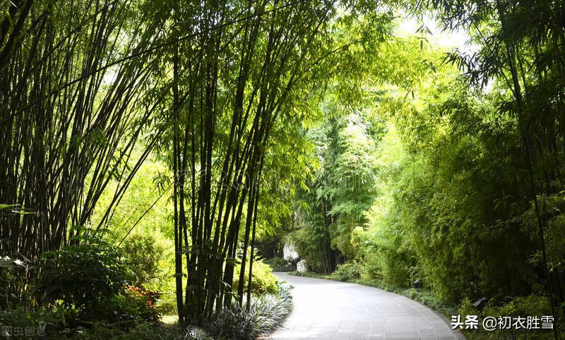 描写夏天景物的古诗有哪些(关于夏天景物的古诗词赏析）