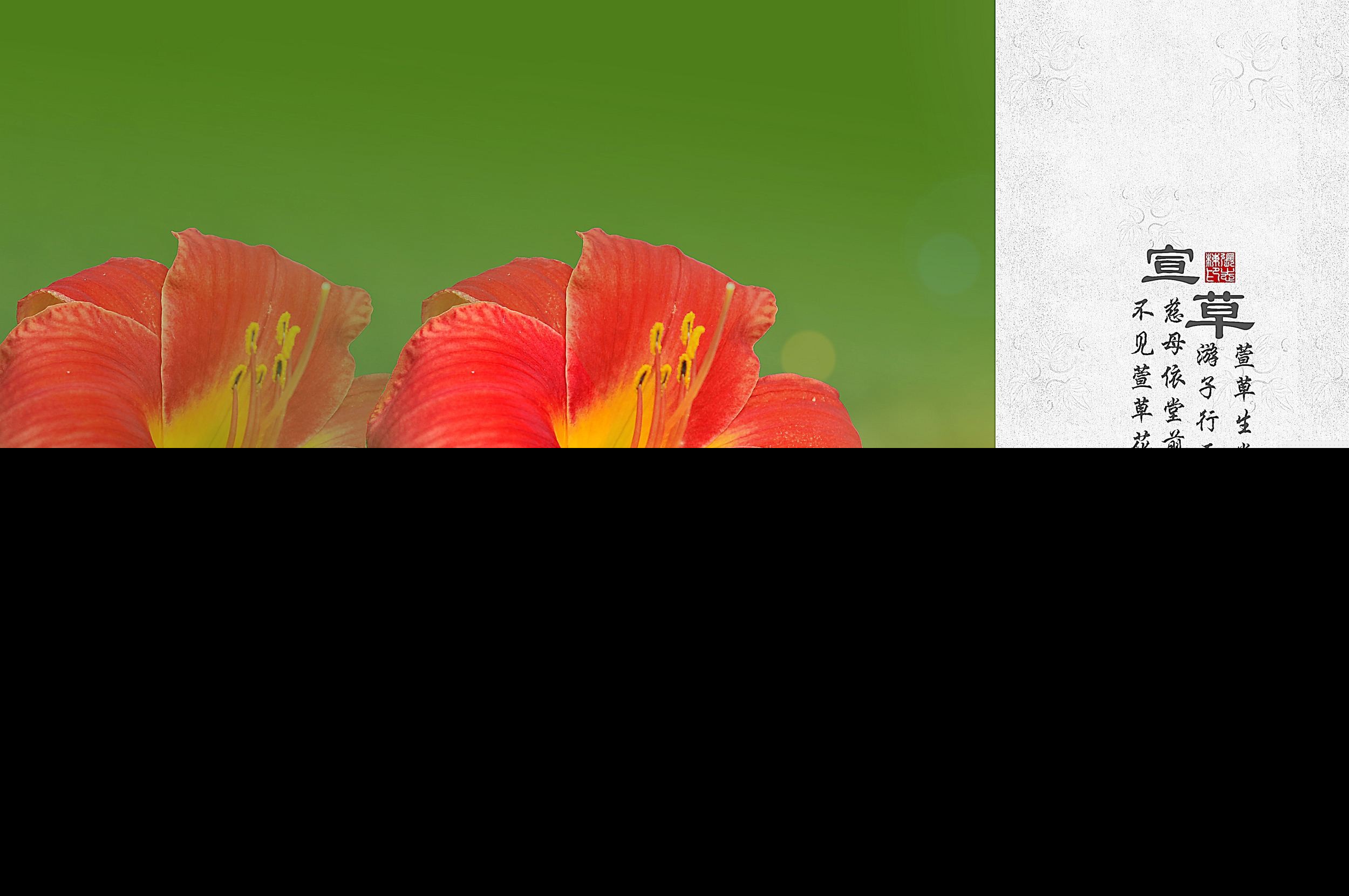 人比黄花瘦是什么意思（李清照经典诗句）