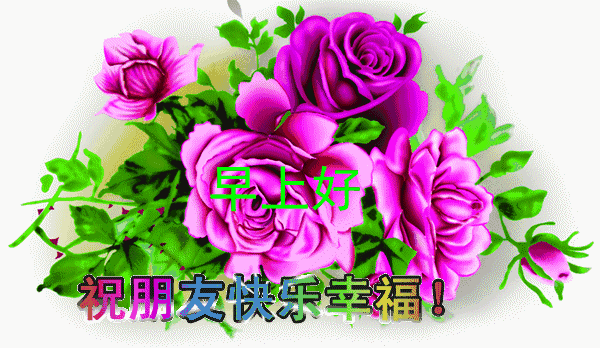暖心祝福的短句（干净简短的励志句子）