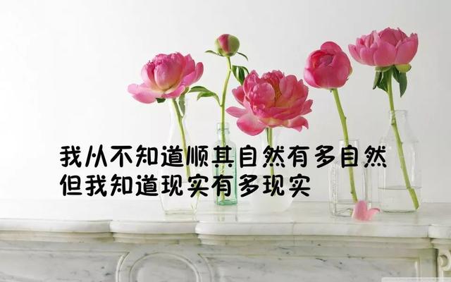 说到心坎的句子说说（经典人生短句分享）