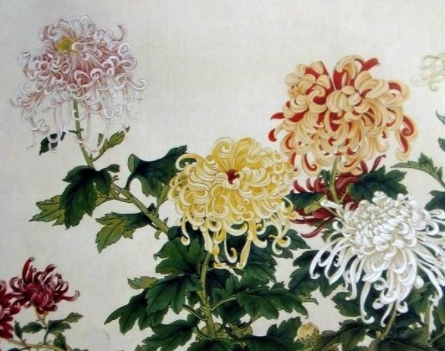 寒菊古诗拼音版原文（寒菊古诗原文及翻译）