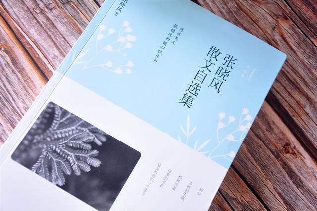 张晓风散文精选摘抄赏析（分享张晓风散文精选好词）