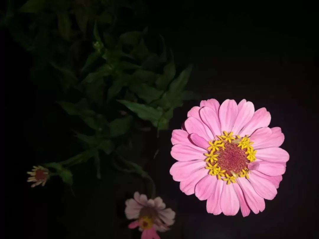 适合摘抄的现代诗（现代诗歌摘抄大全）